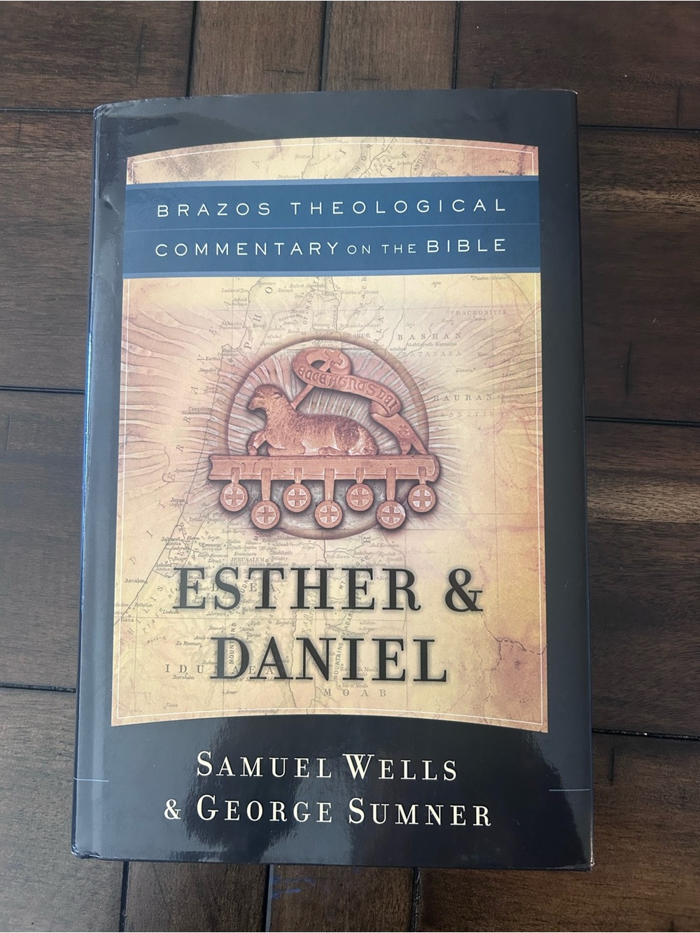 Brazos Theological Commentary on the Bible Esther & Daniel by Wells & Sumner